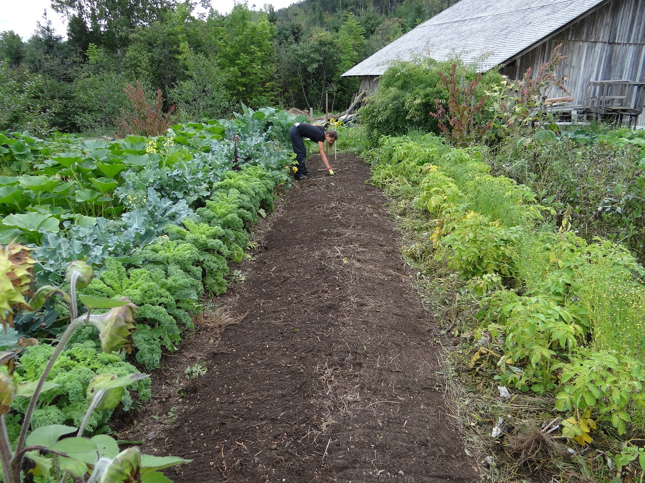 The Benefits of Organic Gardening